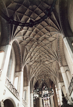 Vorschaubild Wittenberg, Schlosskirche, Langhaus Netzgewölbe